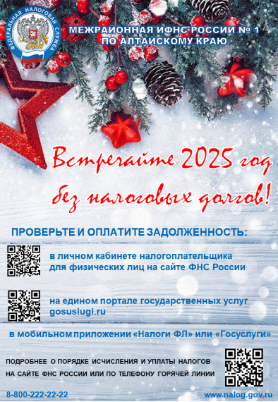 Встречайте новый 2025 год без налоговых долгов. Встречайте новый 2025 год без налоговых долгов.